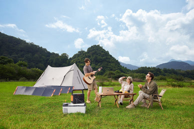 Types d'onduleurs solaires