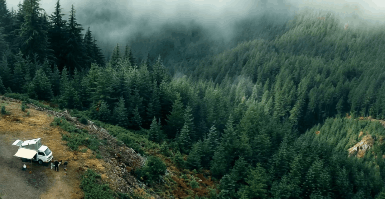 Branchez-vous, plantez un arbre : le Black Friday vert de Jackery et Greenspark