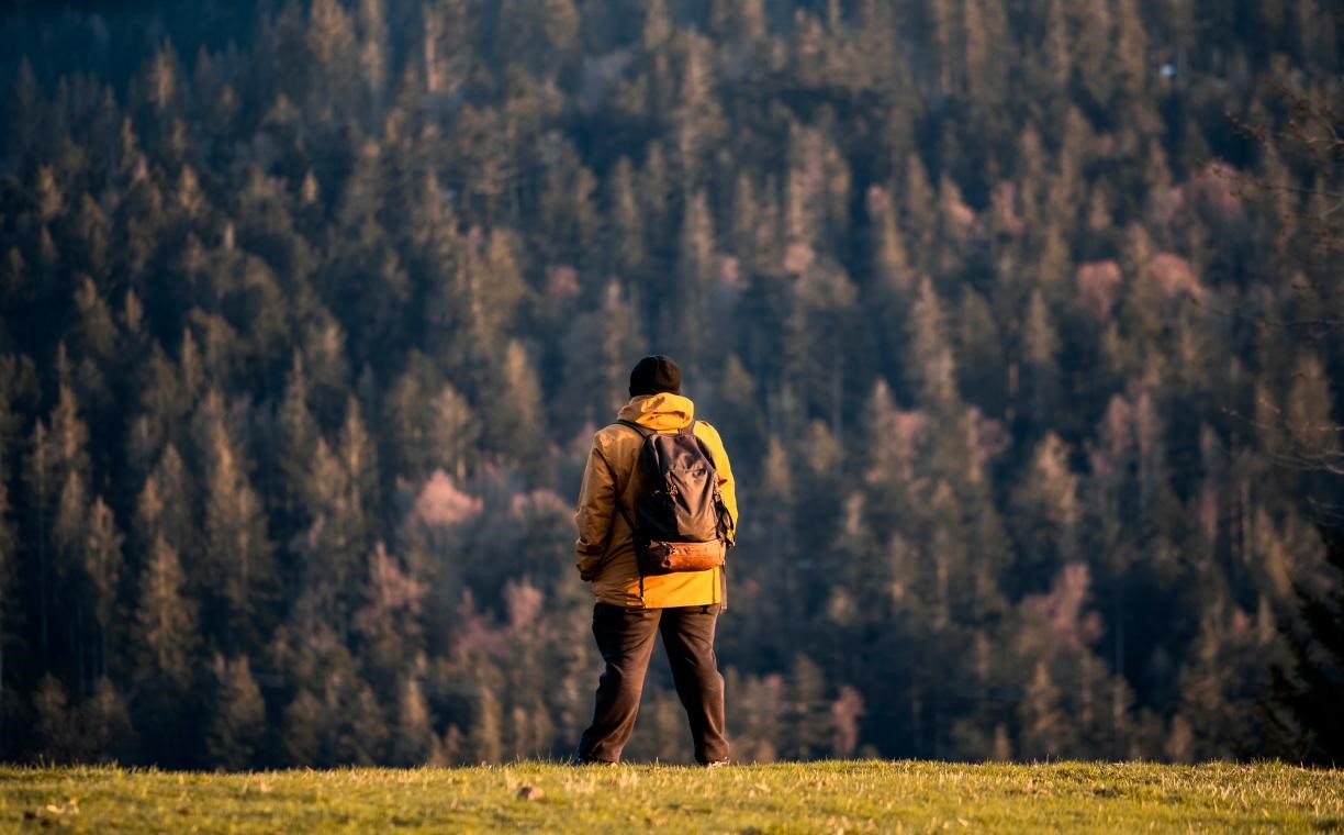La randonnée en solo ou entre amis: quelle formule vous convient le mieux ?