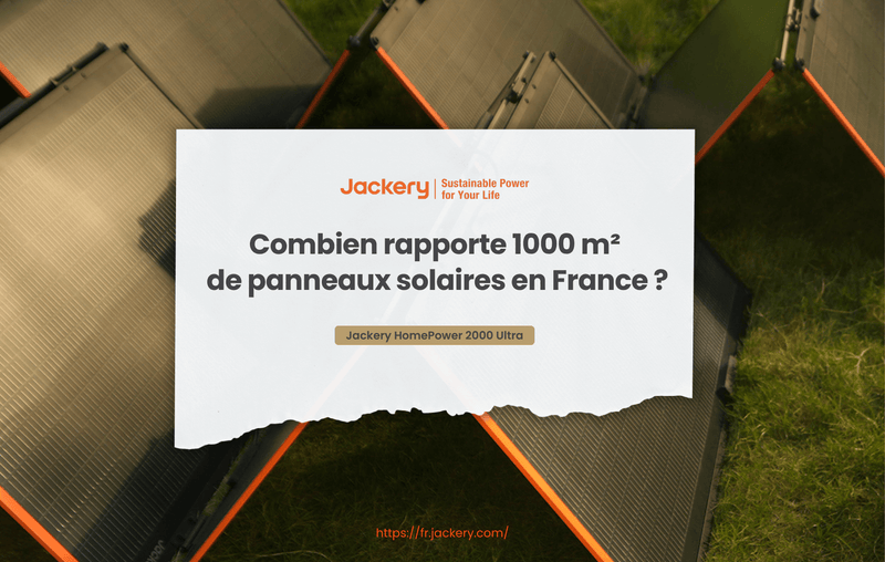 combien rapporte 1000 m² de panneau solaire