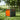 Jackery Chariot Pliable